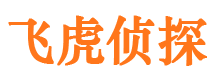 洛隆市场调查